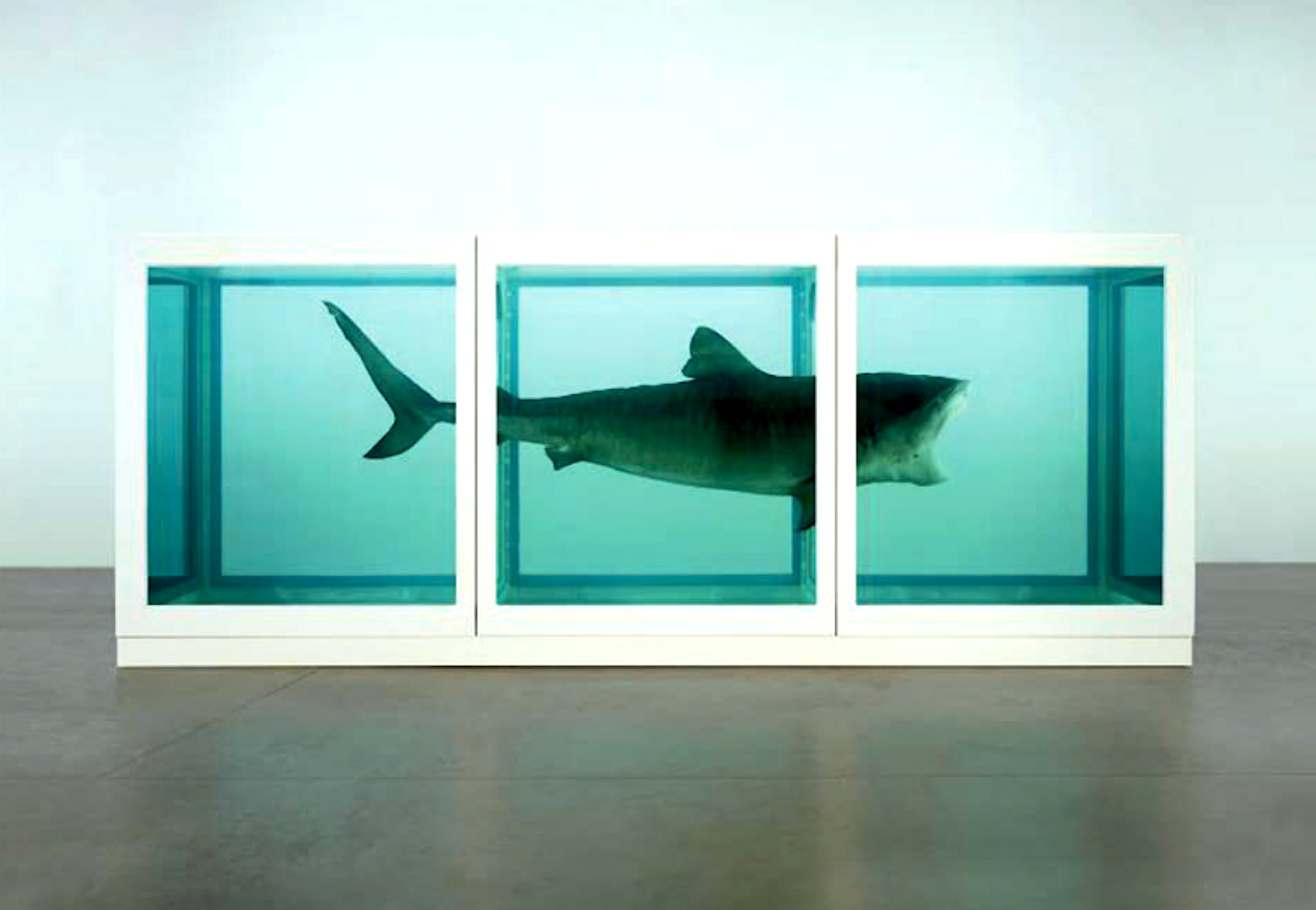 Damien Hirst – The physical impossibility of death in the mind of ...