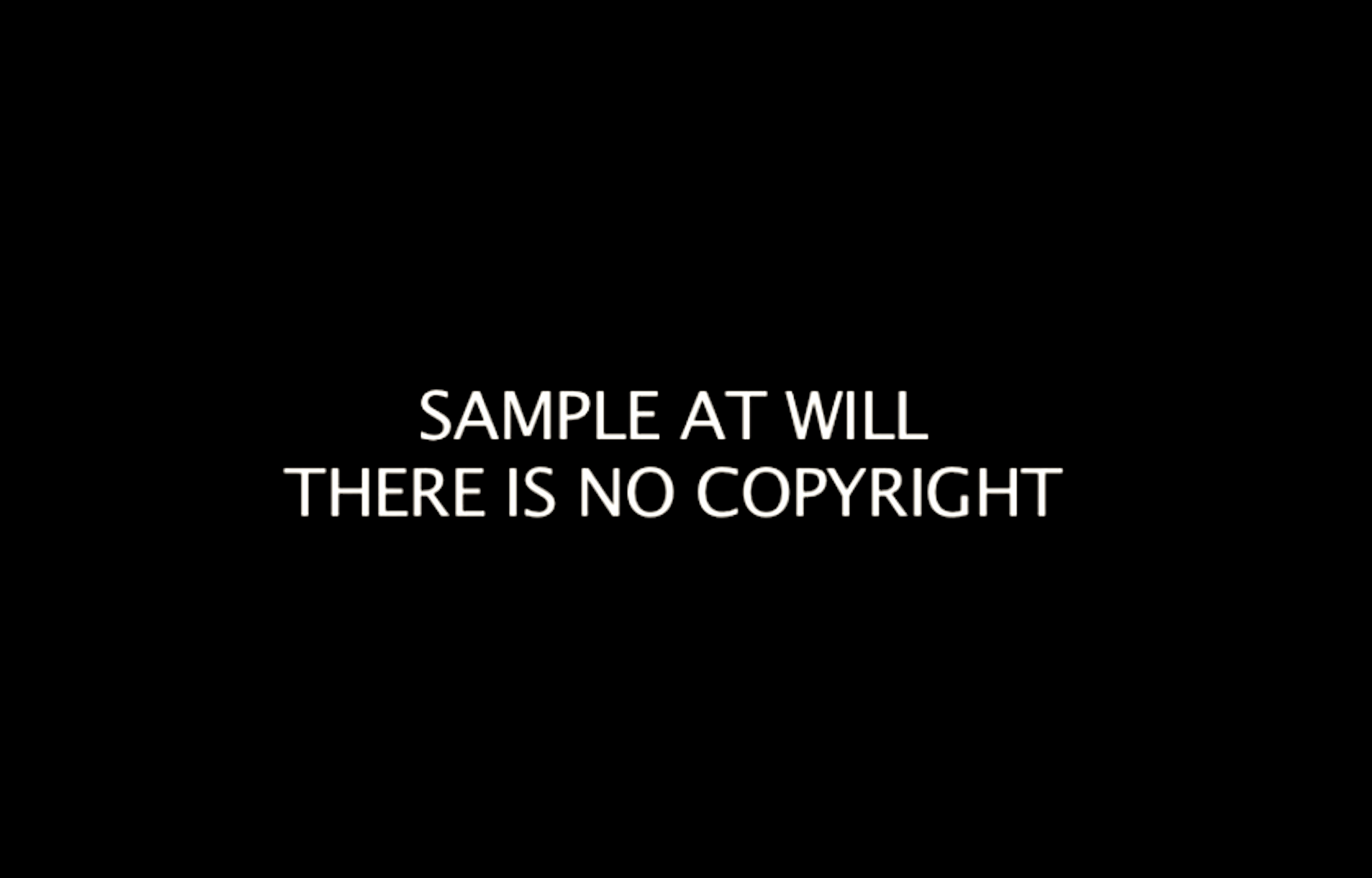 Sample at will | There is no copyright (foto Ian Kerkhof:Aryan Kaganof ...