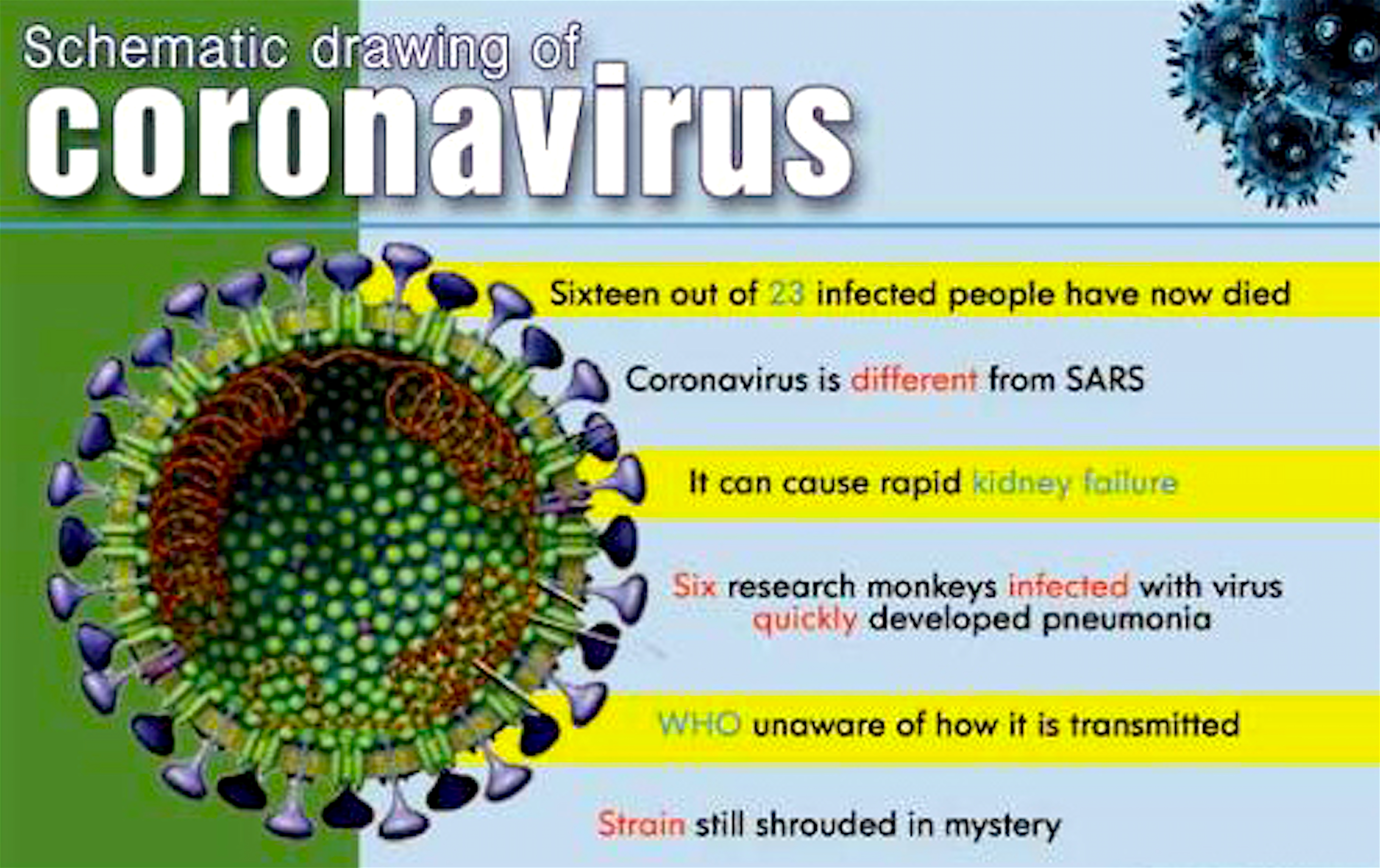 Хорошего дня коронавирус