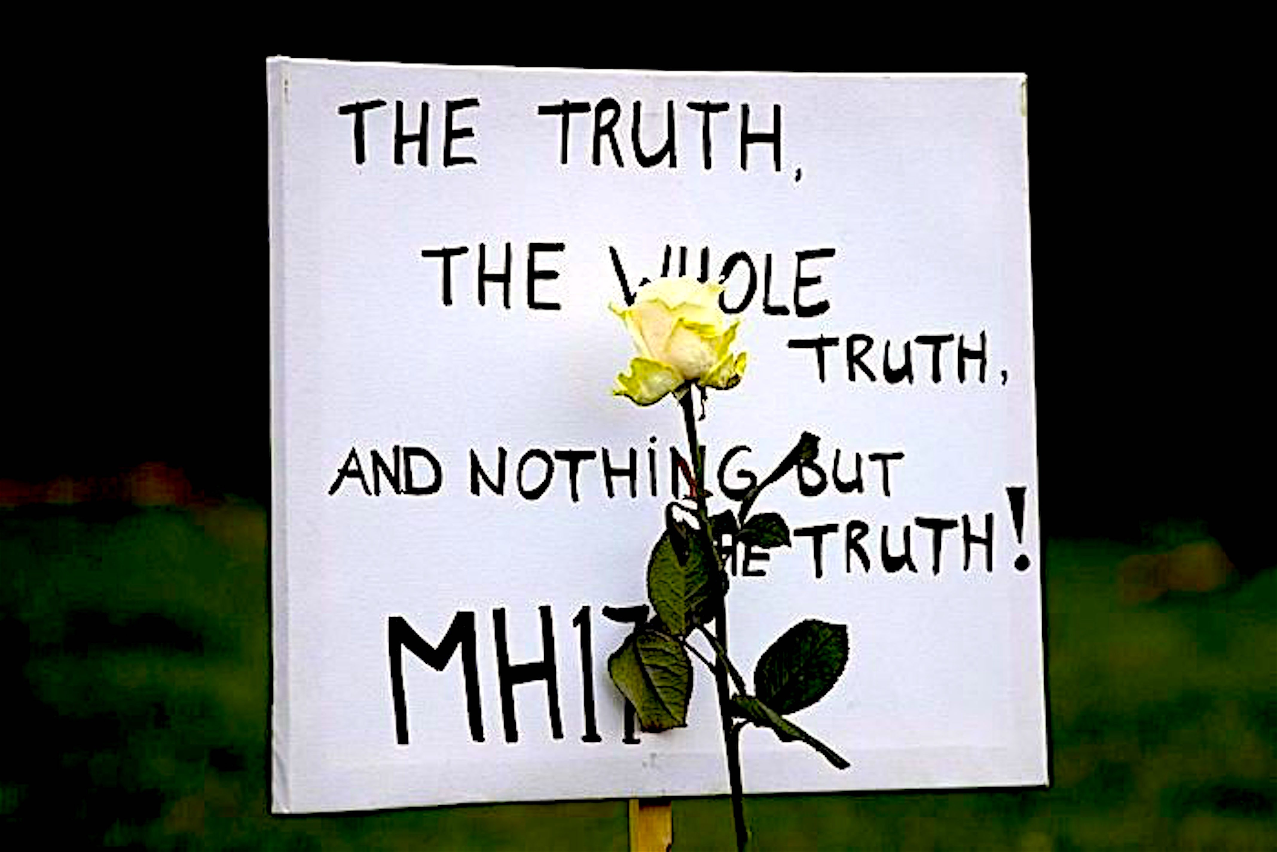 The Truth The Whole Truth And Nothing But The Truth MH17 foto Sott 