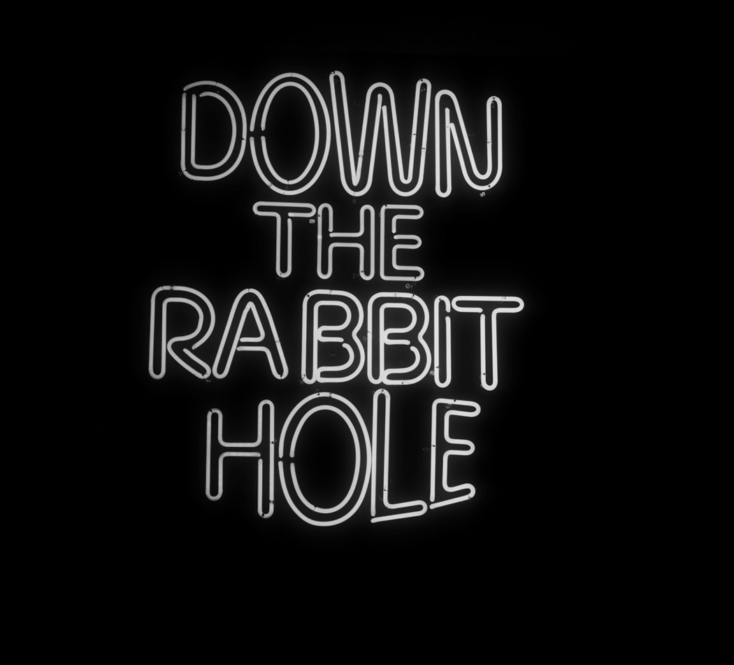 Down The Rabbit Hole Foto Rob Scholte Museum
