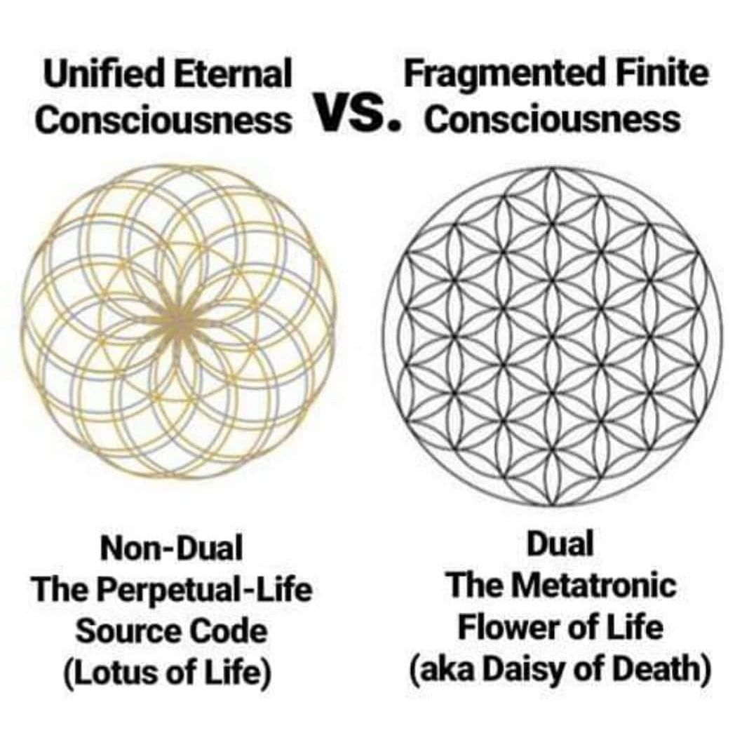 unified-eternal-consciousness-versus-fragmented-finite-consciousness